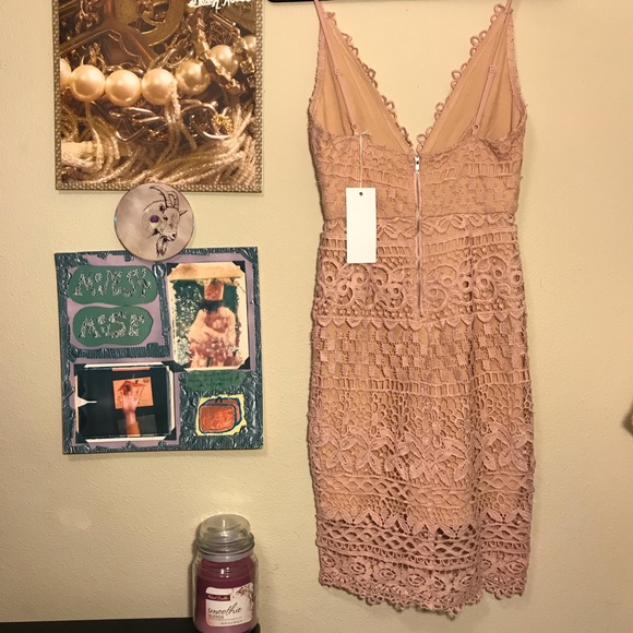 LUSH Dress | Pink Lace Dress - Picture 2 of 6